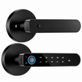 B208A PRO Biometric Lock